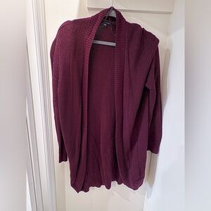Maroon American Eagle Sweater Cardigan